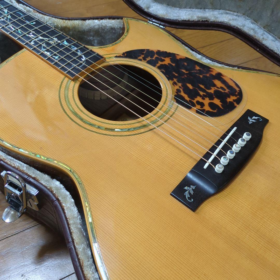 ギター Asturias ,Tree'of.Life.