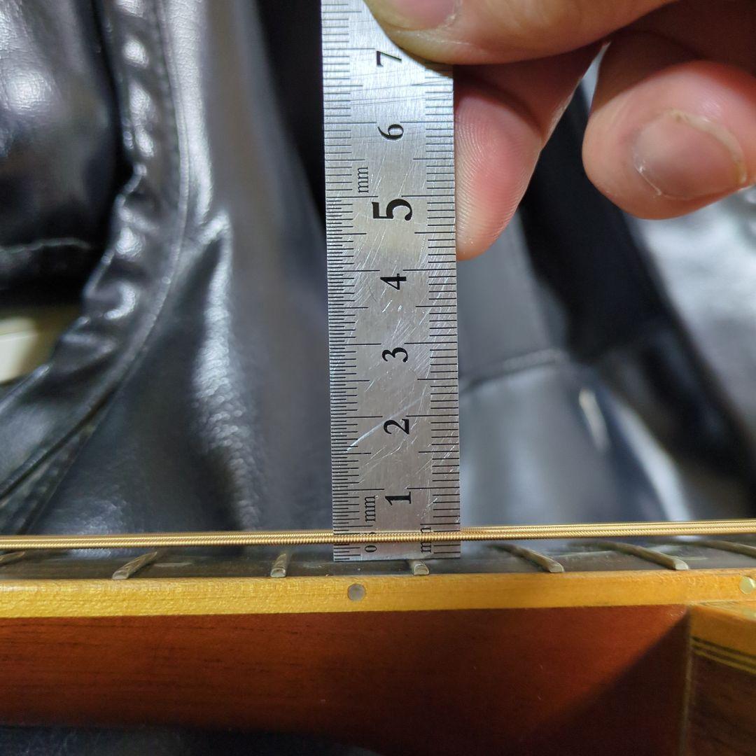 ギター Asturias ,Tree'of.Life.