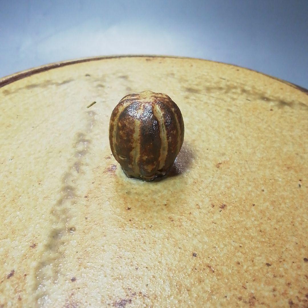 Ｓ６８０　水指　『高麗柿天目陽刻阿古陀形』『李殷九』　共箱　茶道具