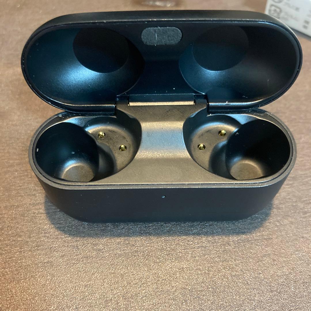 Technics 100イヤホンケース ブラック