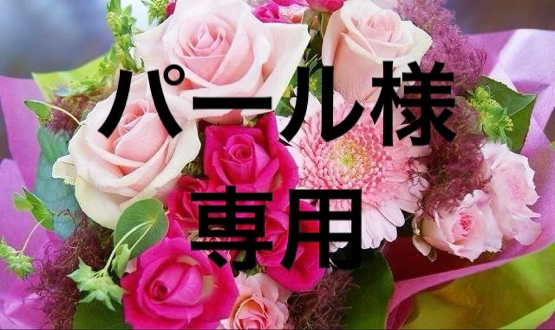 パール174レイヤード風TU（NV×PK)・