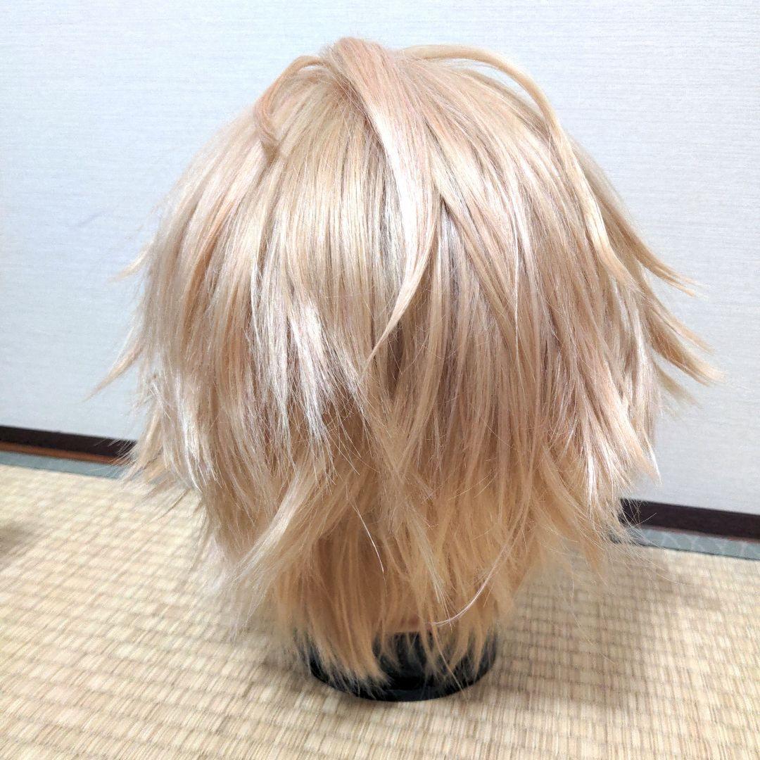 Fate/Grand Order FGO デイビット コスプレ ウィッグ