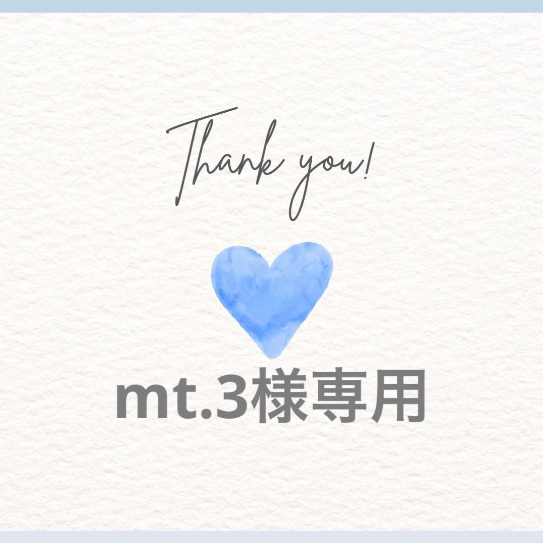 シャンプー mt.3