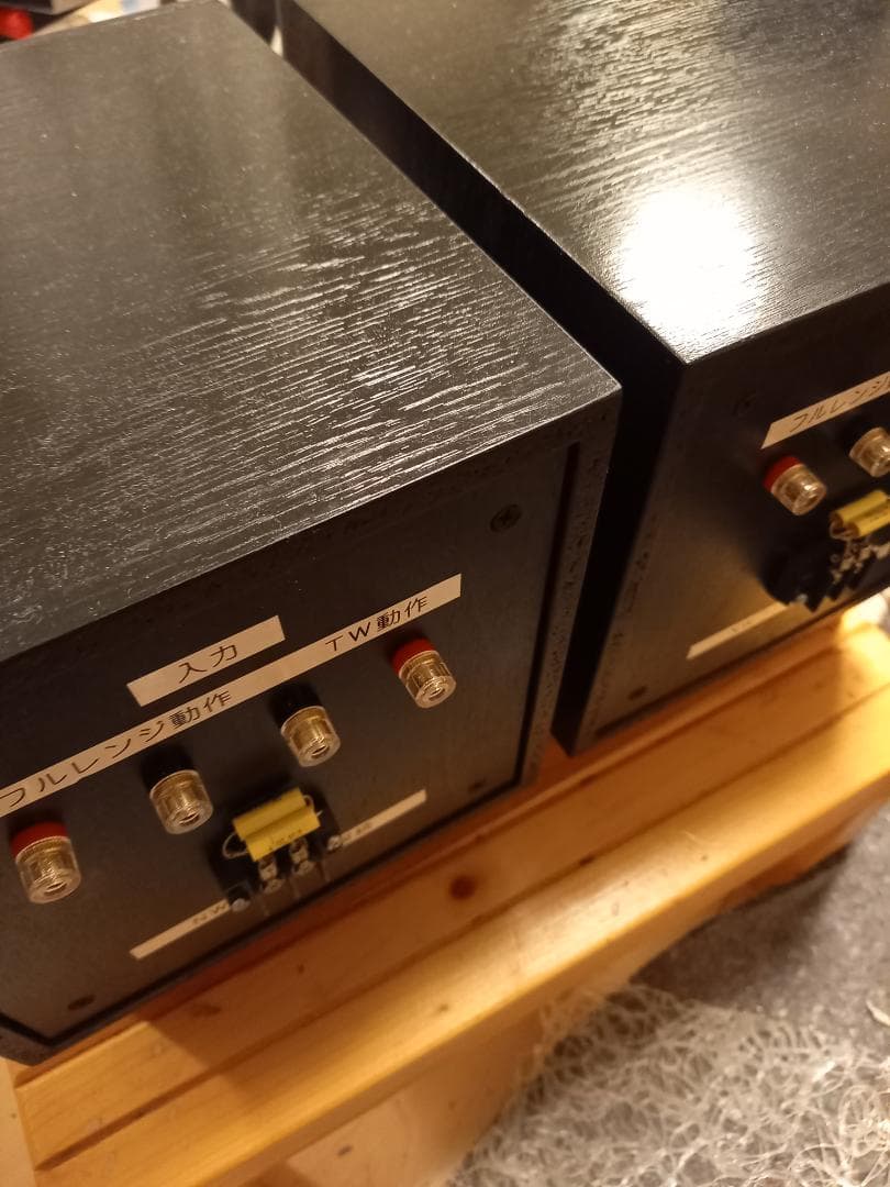 た*ん様 ザクセンベルク　SACHSENWERK フルレンジ　13cmスピーカー