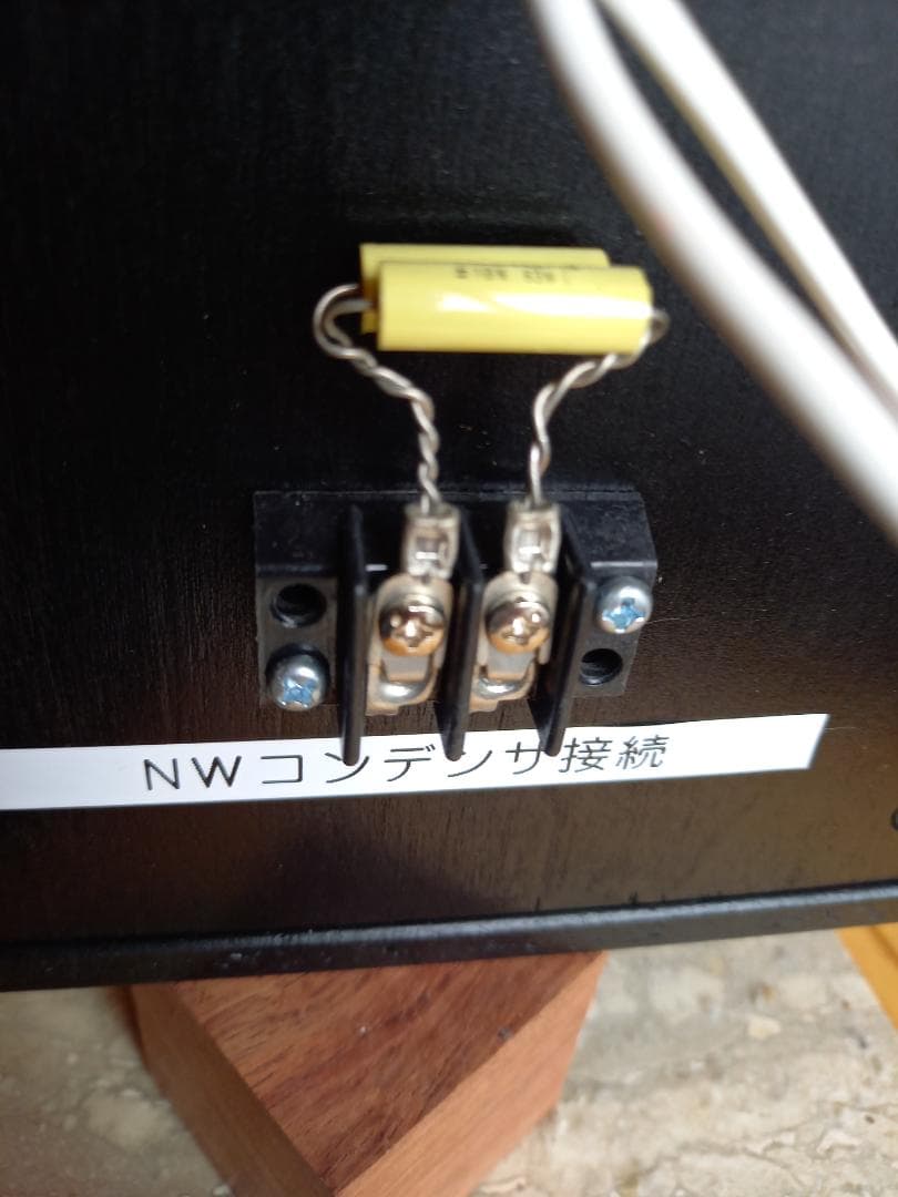 た*ん様 ザクセンベルク　SACHSENWERK フルレンジ　13cmスピーカー