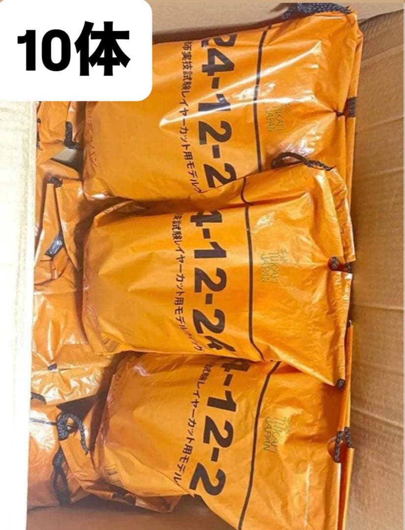 美容師実技試験モデルウィッグ 株式会社 ユーカリジャパン【24-12-24】