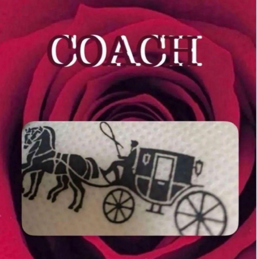 COACH長財布レインボーマルチカラーシグネチャーホワイト白ストラップ付.新品