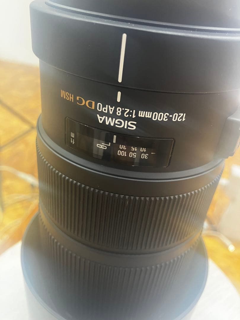 シグマ APO 120-300mm F2.8 EX DG OS HSM EF