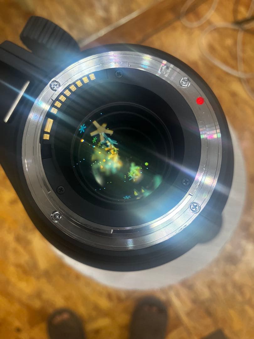 シグマ APO 120-300mm F2.8 EX DG OS HSM EF