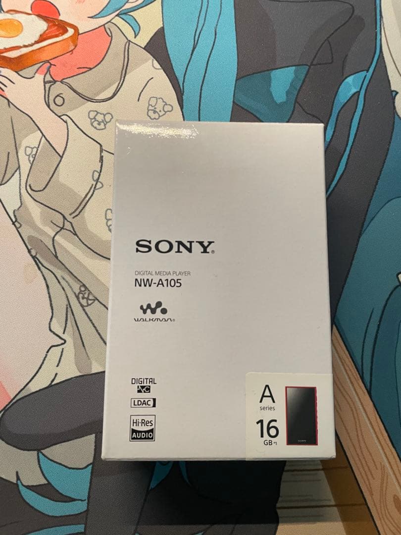 SONY NW-A105 ウォークマン WALKMAN 16GB
