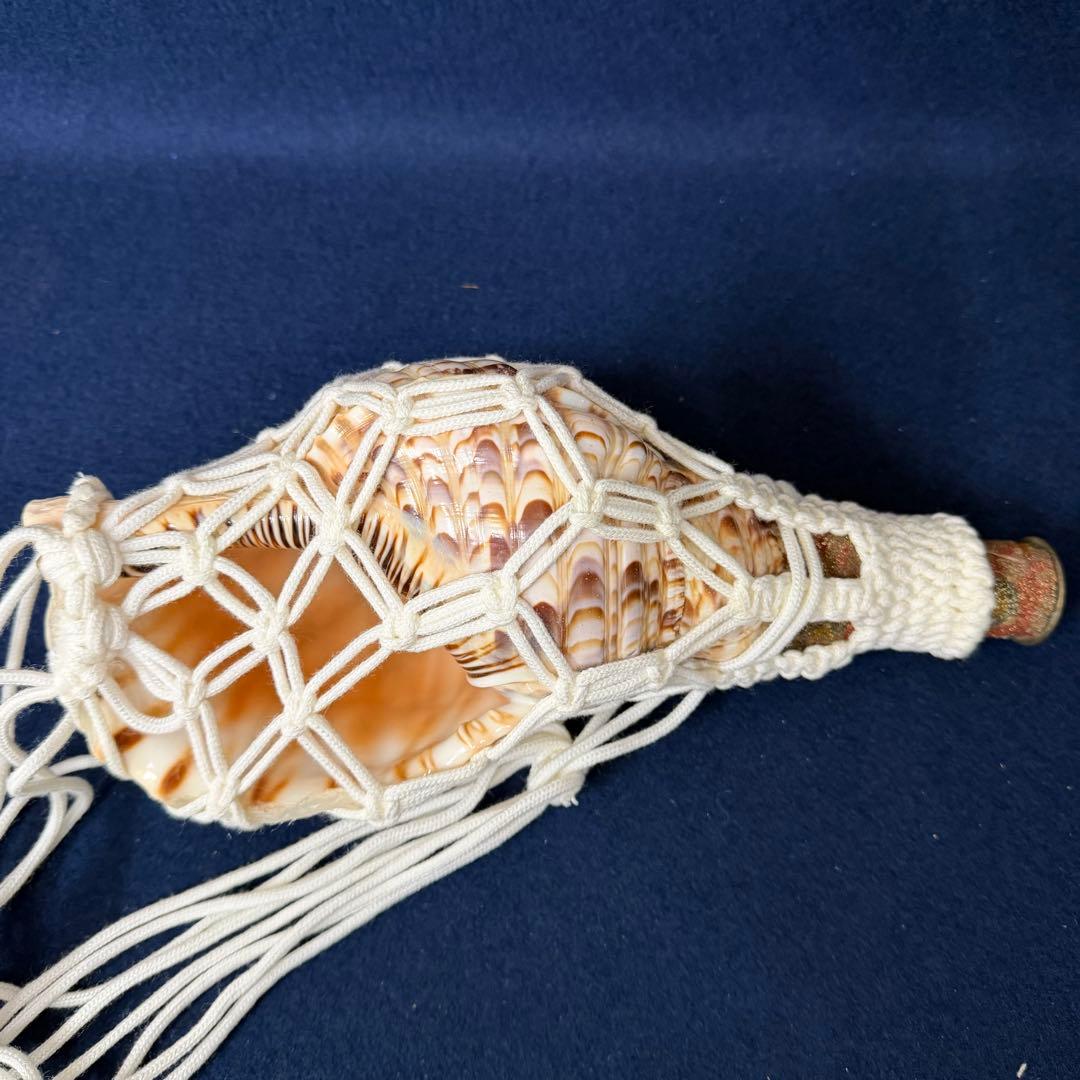 ②中 ホラ貝 法螺貝 螺貝 ラッパ 雅楽 和楽器 古玩 旧家 蔵出 骨董品