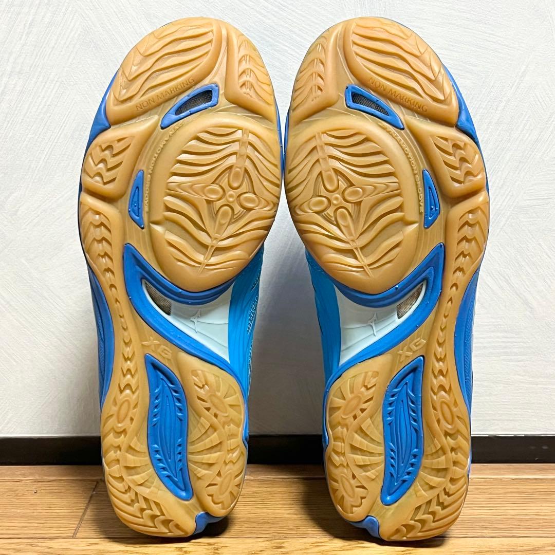 【新品未使用】MIZUNO ロイヤルフェニックス 【27㎝】 限定カラー