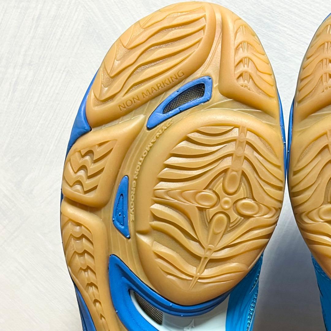 【新品未使用】MIZUNO ロイヤルフェニックス 【27㎝】 限定カラー