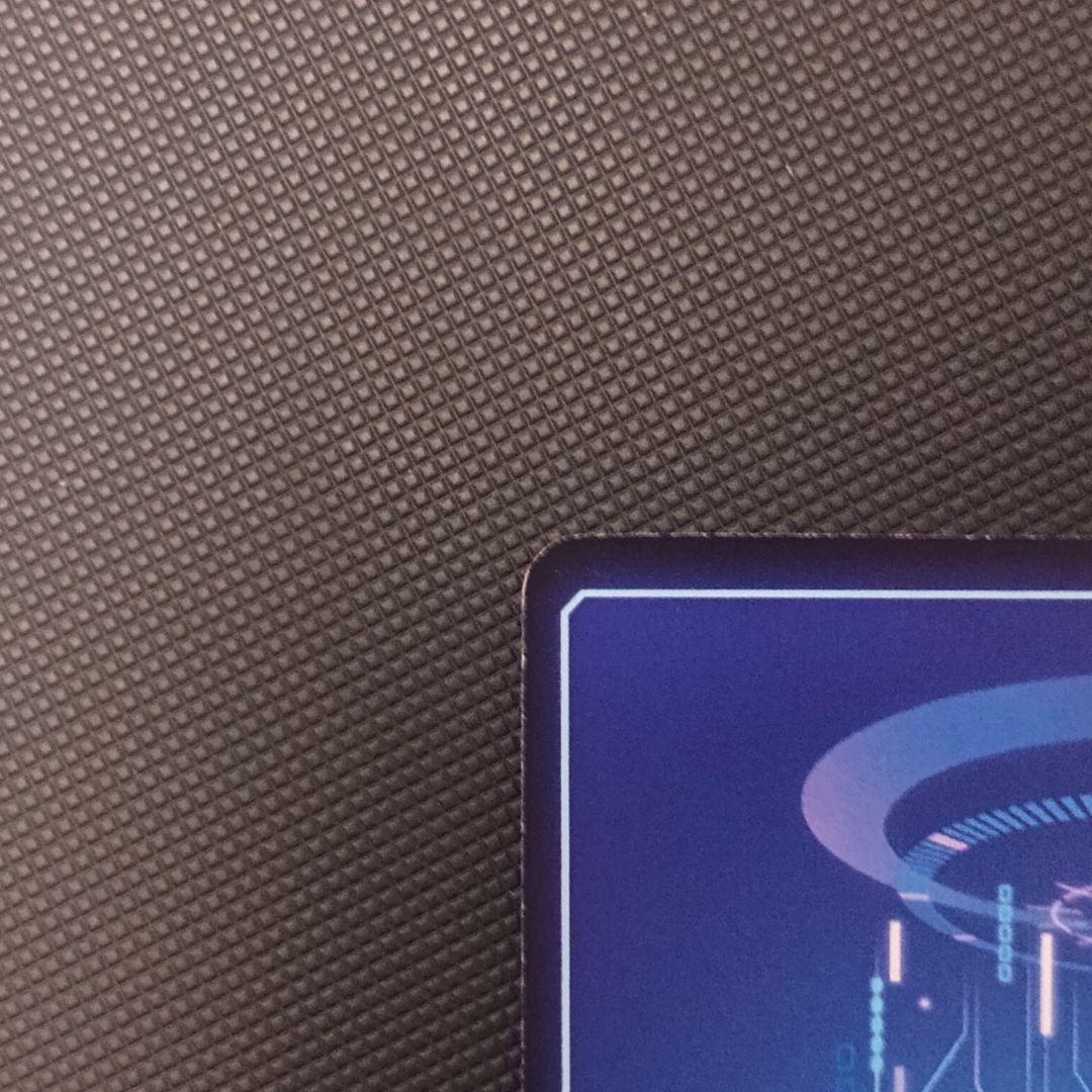 デジモンカードゲーム 結城ダン＆結城カナン