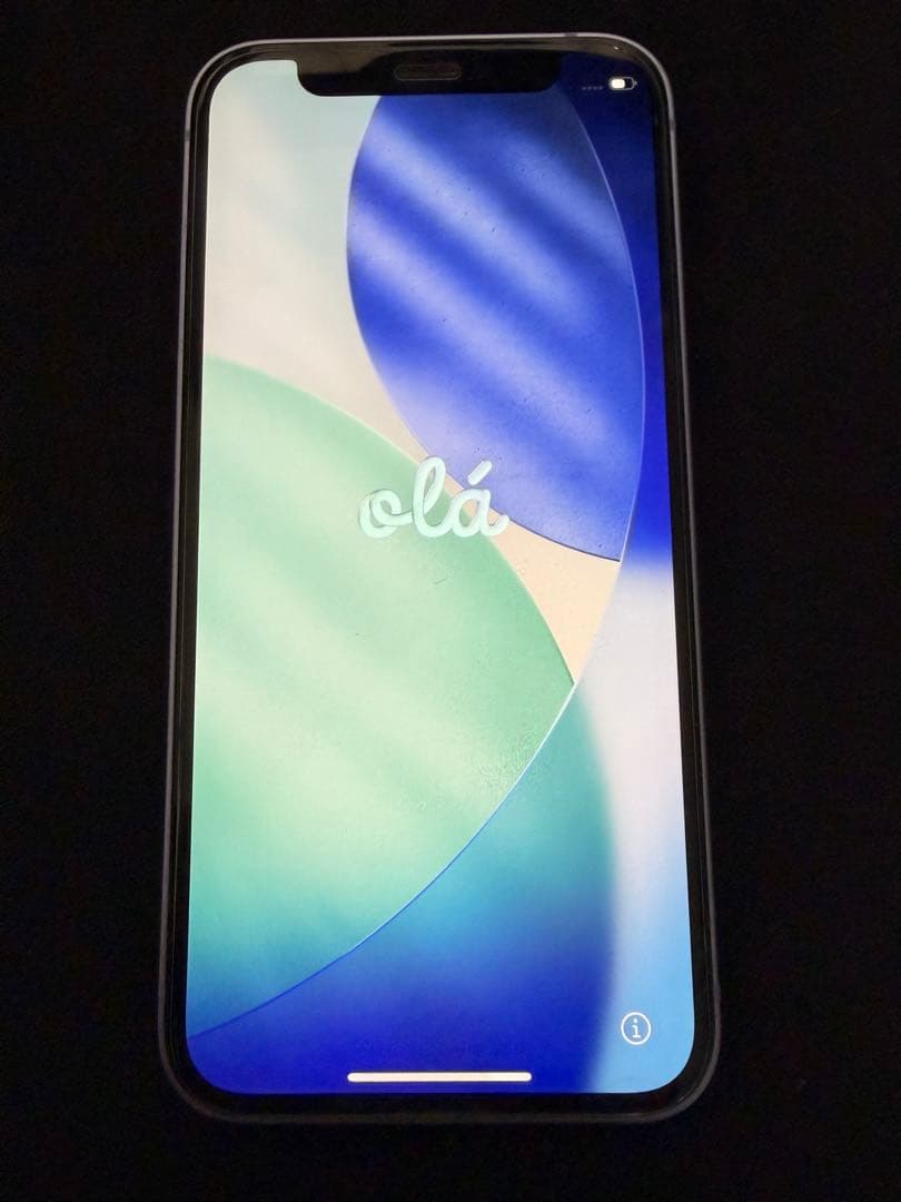 Apple iPhone 12 mini 128GB パープル 本体 ジャンク