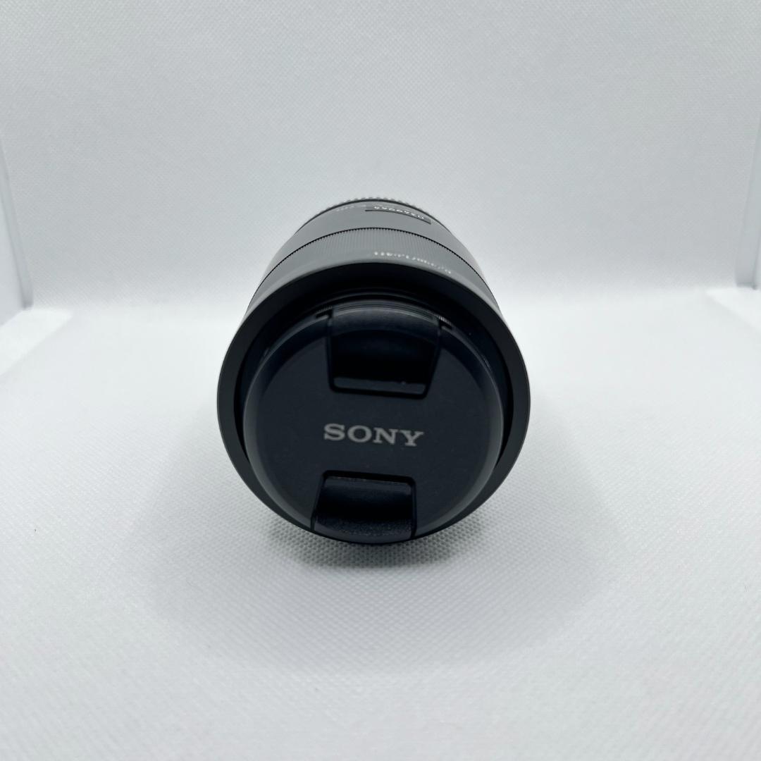 レンズ(単焦点) SEL55F18Z SONY Sonnar T* FE 55mm F1.8 ZA