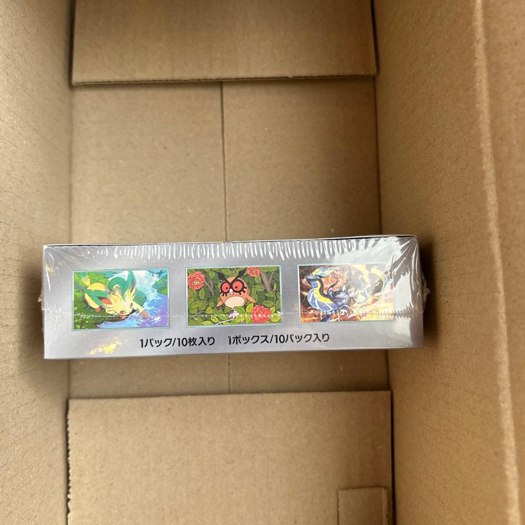 テラスタルフェスex シュリンク付