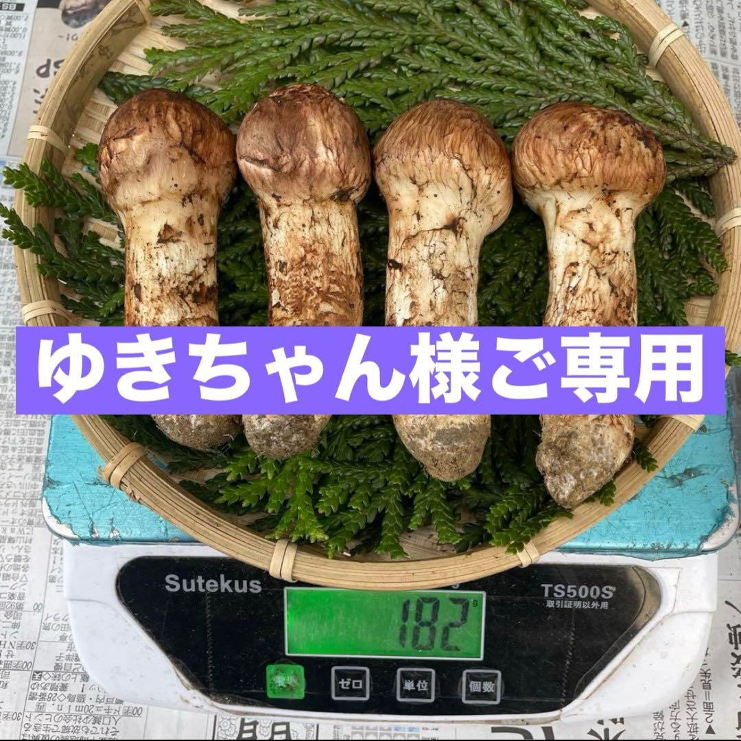 天然きのこ 松茸 国産 良品‼️マツタケ まつたけ 大自然の凛さん採取その125