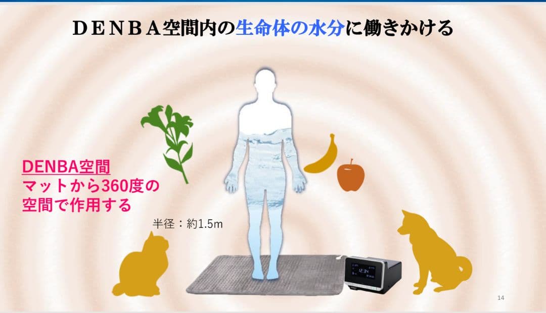 デンバヘルス スタンダード