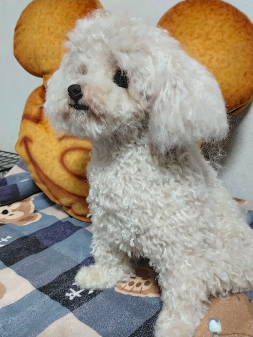 Tigerlsjオーダーベージ。20センチサイズ