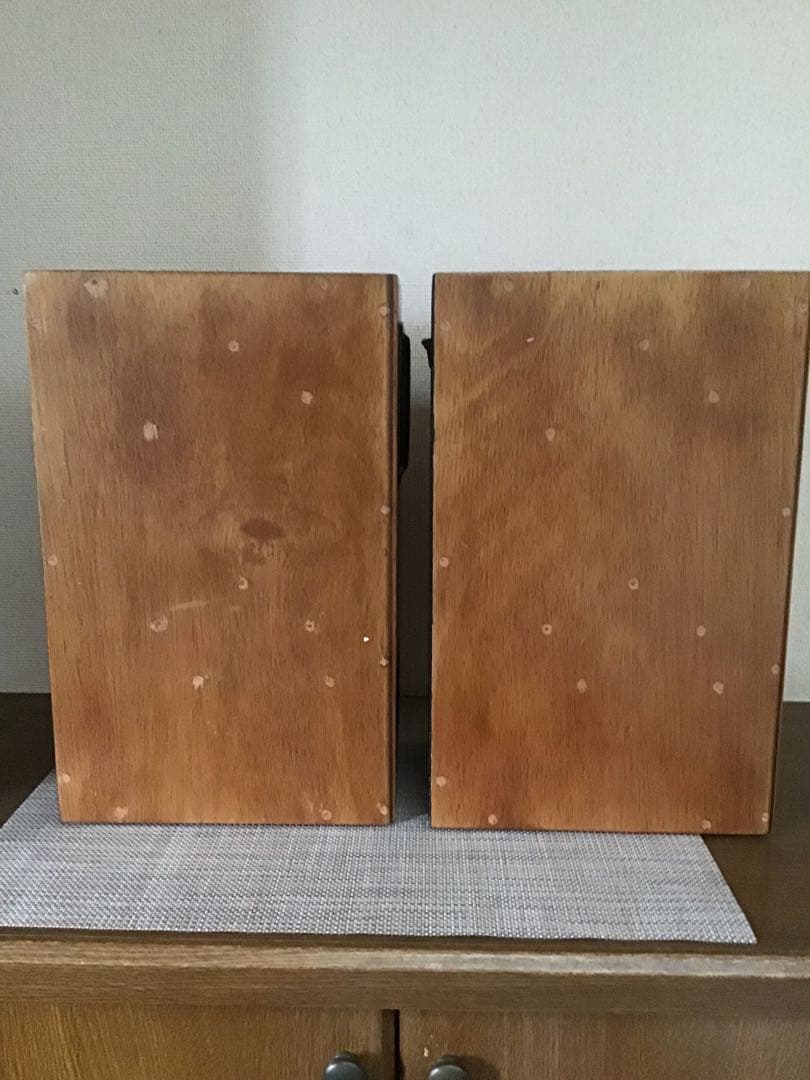 自作10cmバックロードホーンスピーカー