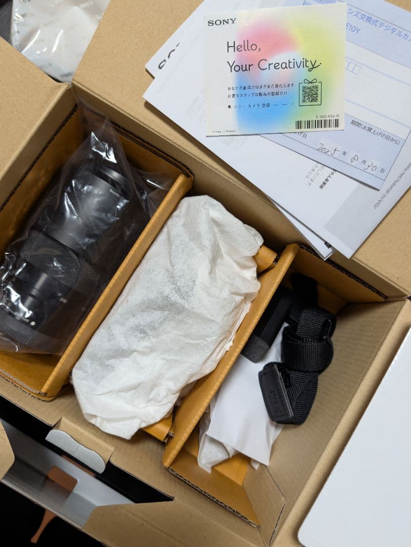 SONY ZV-E10Y ダブルズームキット + アクセサリーキット