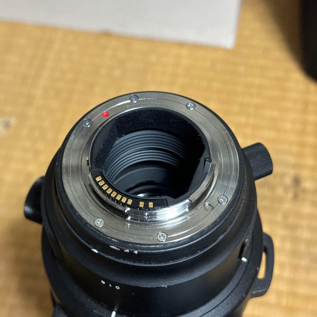 レンズ(単焦点) SIGMA 500mm F4 Sports