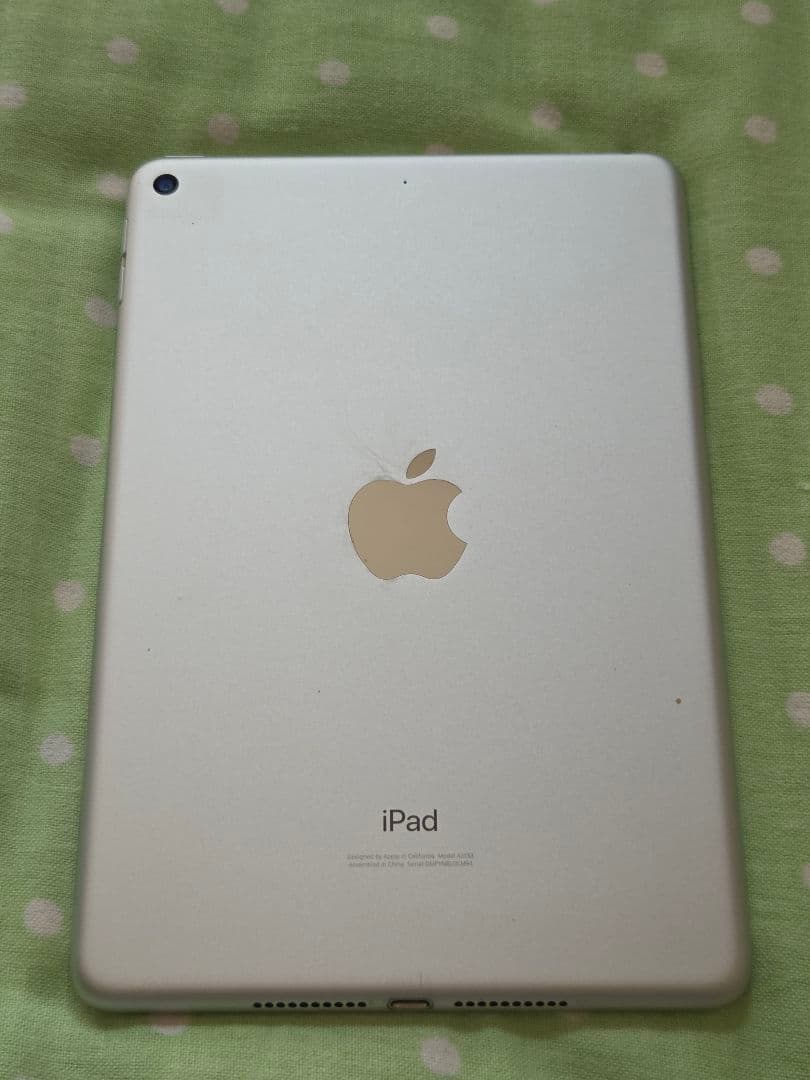 か*で様 iPadmini5 64GB