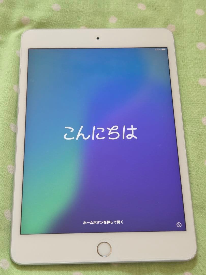 か*で様 iPadmini5 64GB