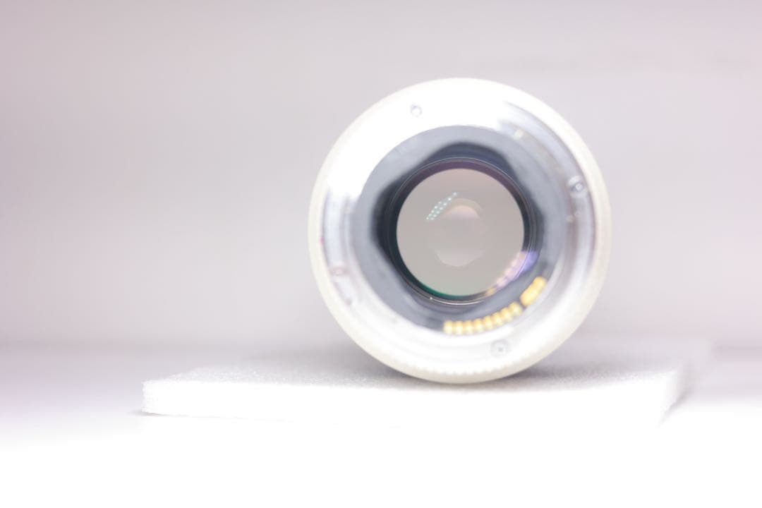 Canon EF 70-200mm F2.8 L USM 望遠ズームレ