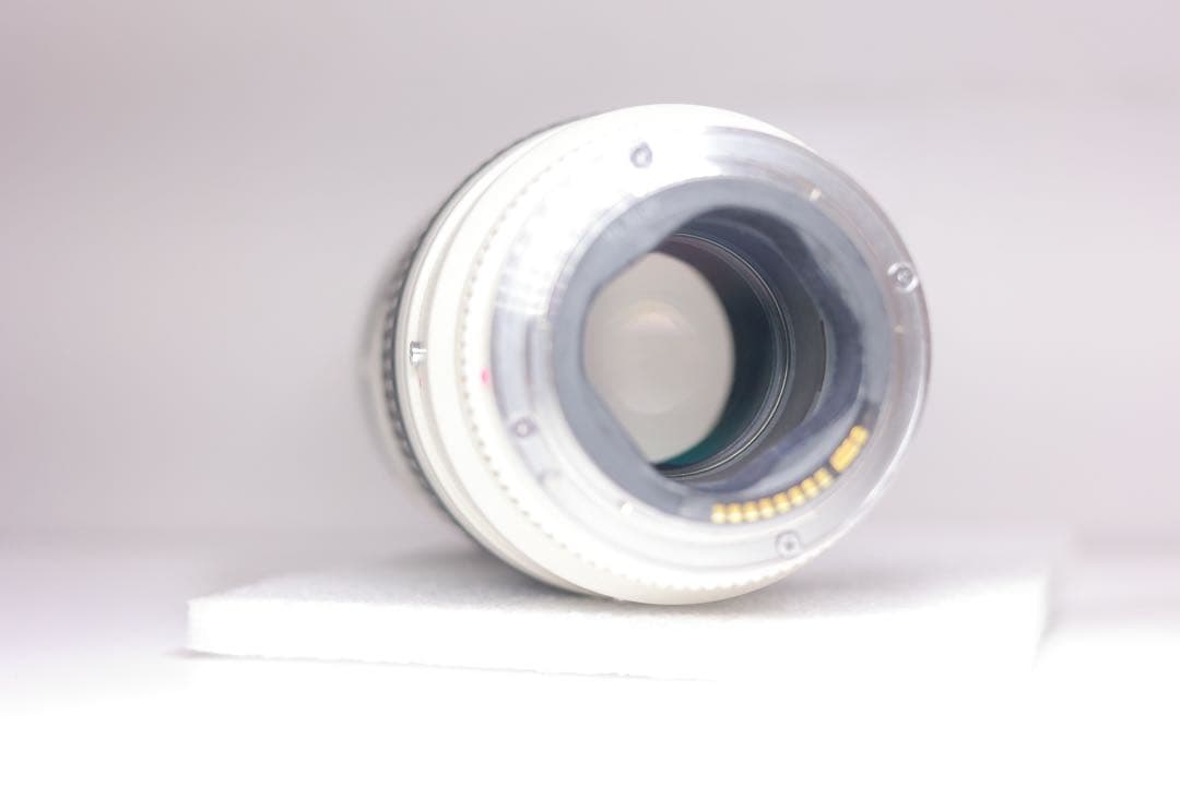 Canon EF 70-200mm F2.8 L USM 望遠ズームレ