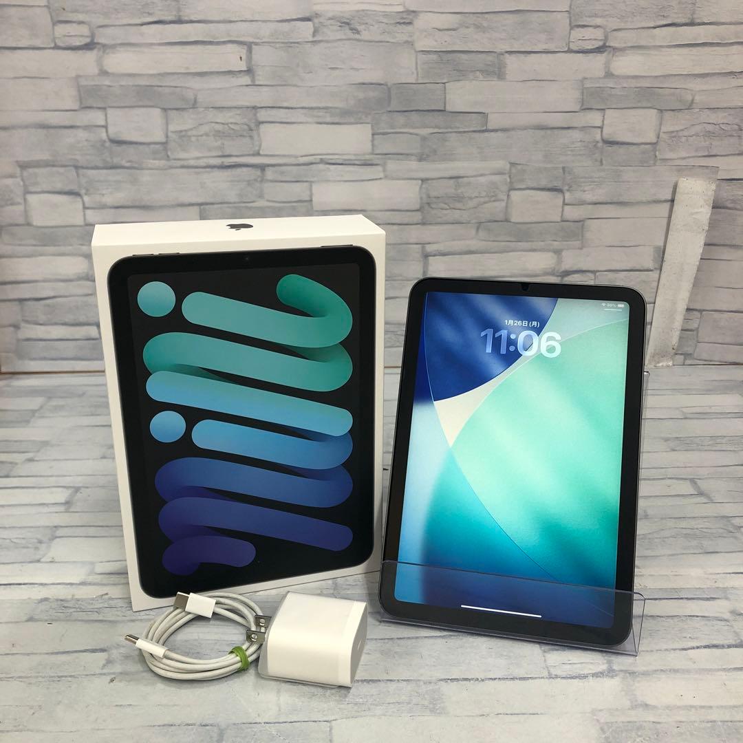 k1169 ipad mini 第６世代 Wi-Fiモデル スペースグレイ