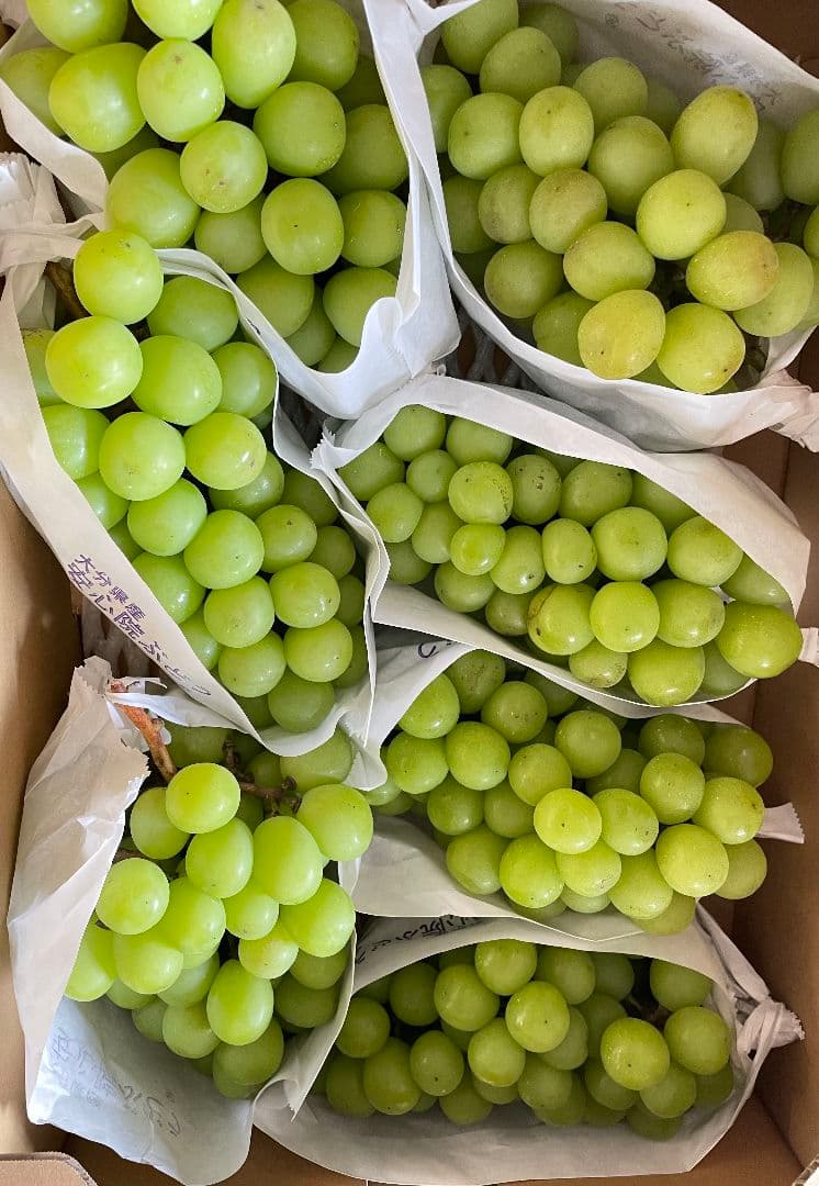 シャインマスカット5kg 房入り 訳あり ラスト