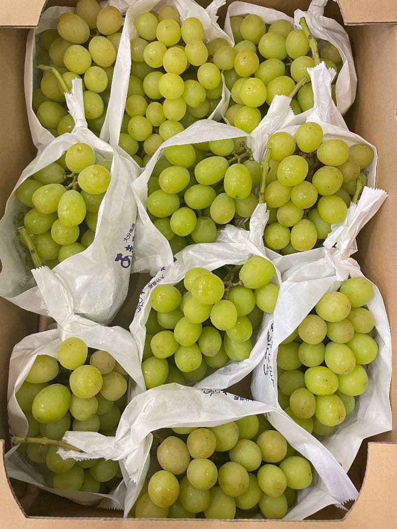 シャインマスカット5kg 房入り 訳あり ラスト