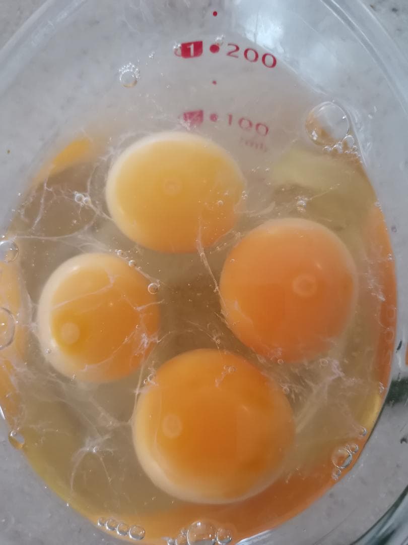 【食用卵】平飼い鶏　名古屋コーチン