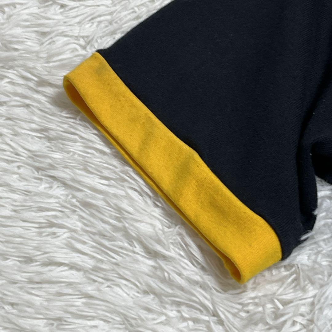 【ヴィンテージ】カンタベリーオブニュージーランド XL ライオンズ 刺繍 レア