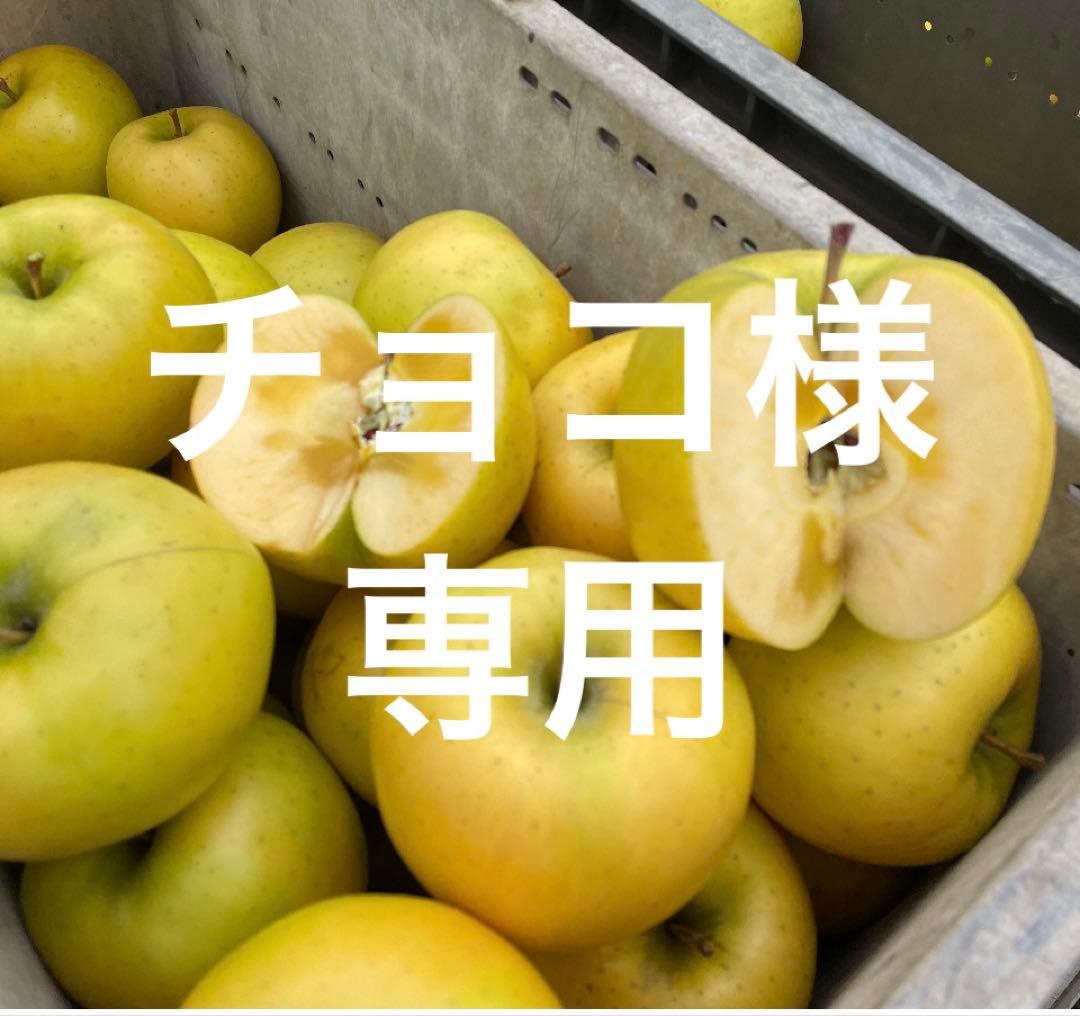 チョコ5キロ×2同梱