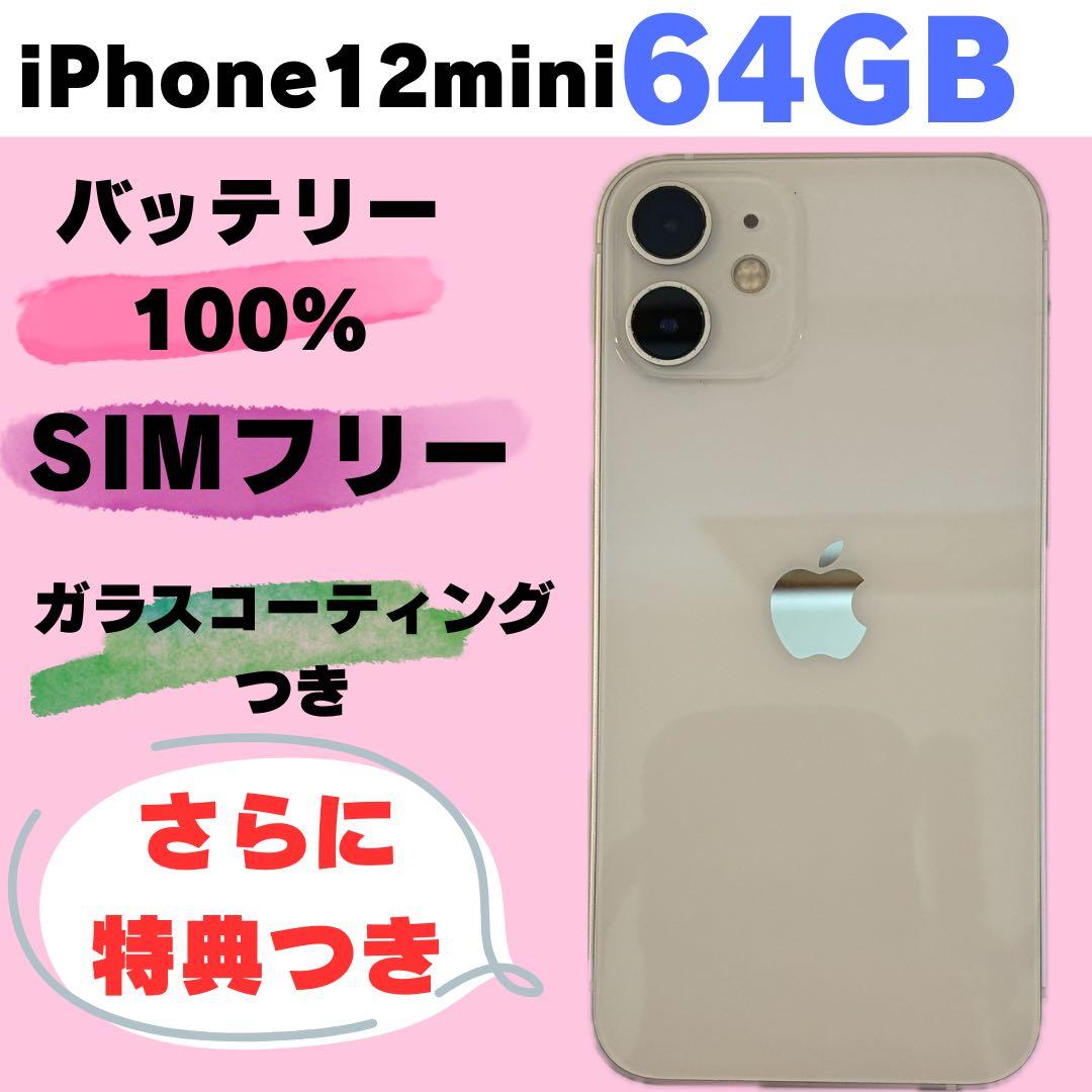 iPhone 12 mini 64GB SIMフリー　#1233