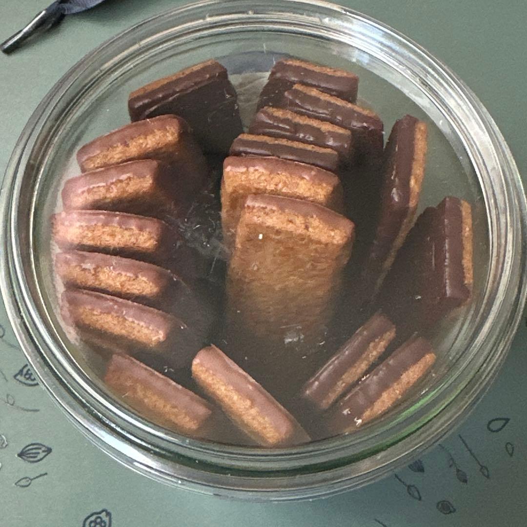 フランクケストナー　サブレノワゼット