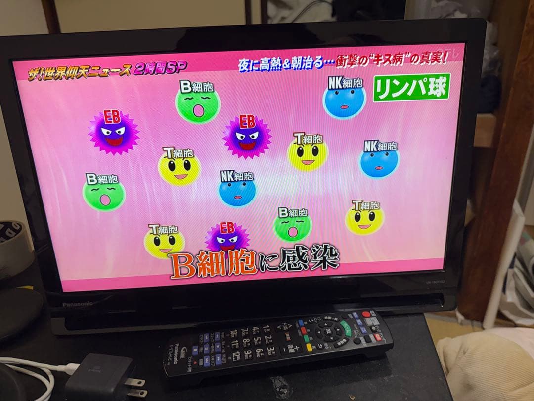 UN-19CF10D 19インチ液晶テレビ