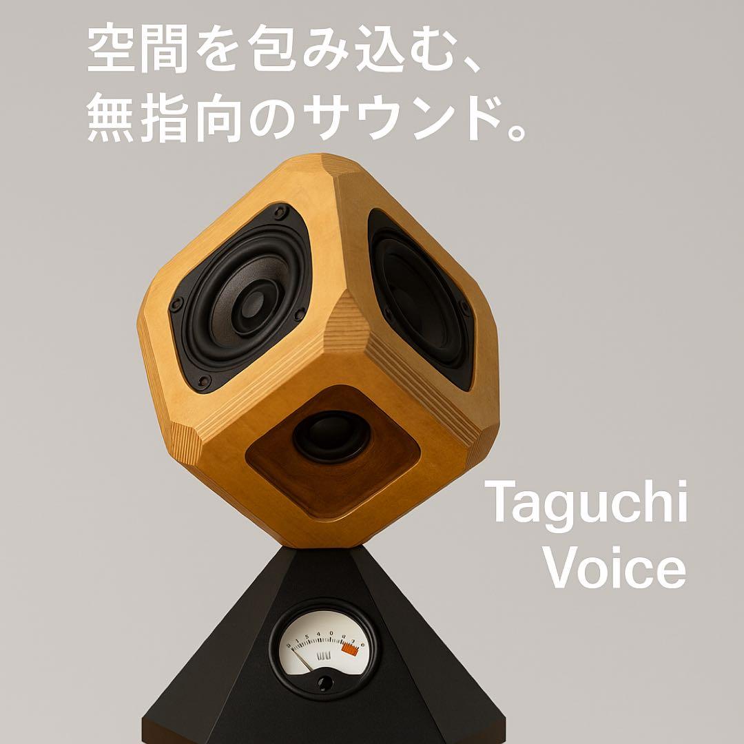 希少！Taguchi Voice スピーカー　Made in Japan