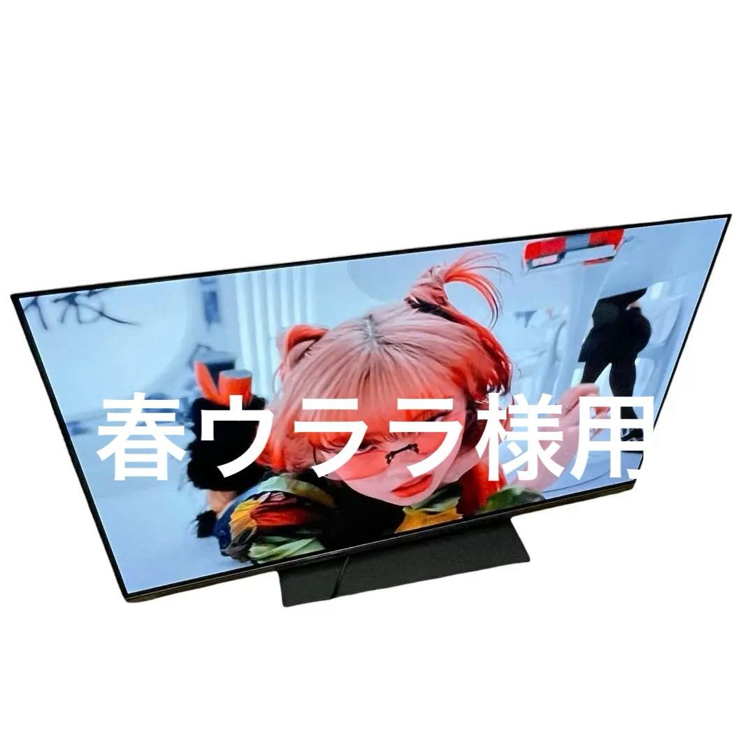 【直接引取限定】2024年 REGZA 有機ELテレビ 48X8900L 48型