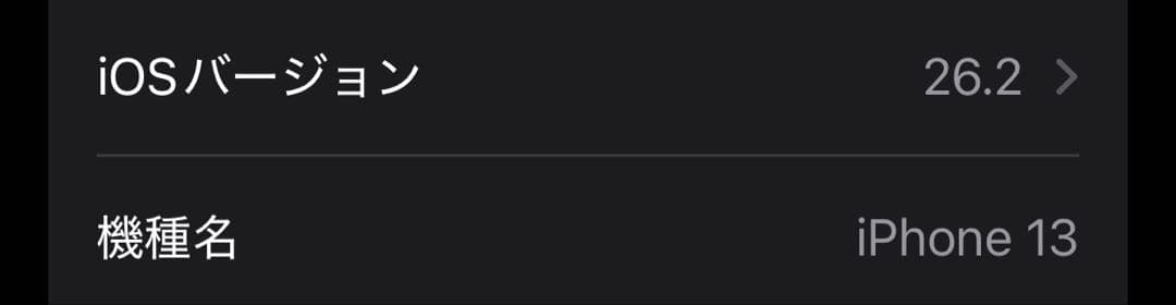 ア*ラ様 Apple iPhone 13 ブルー