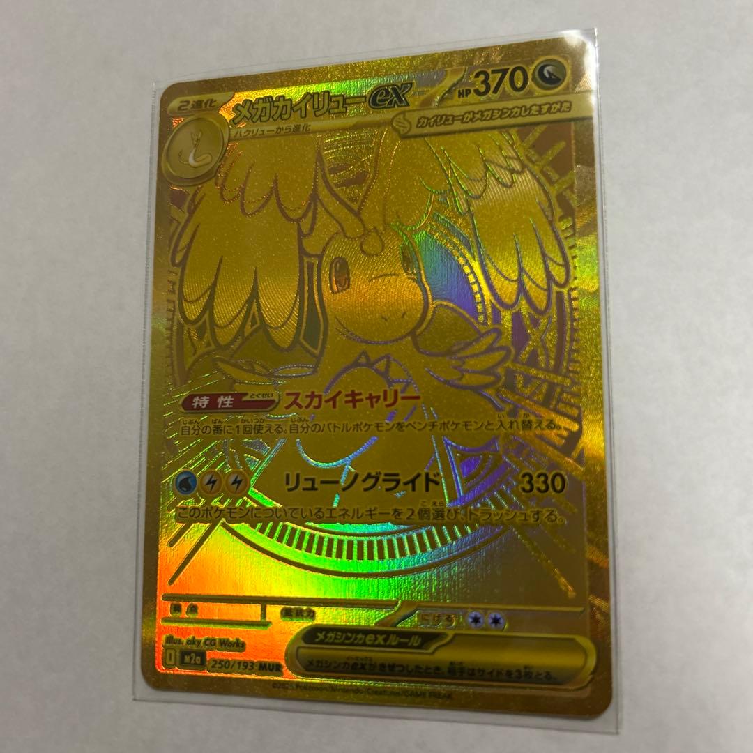 乾*杯様 メガカイリューEX