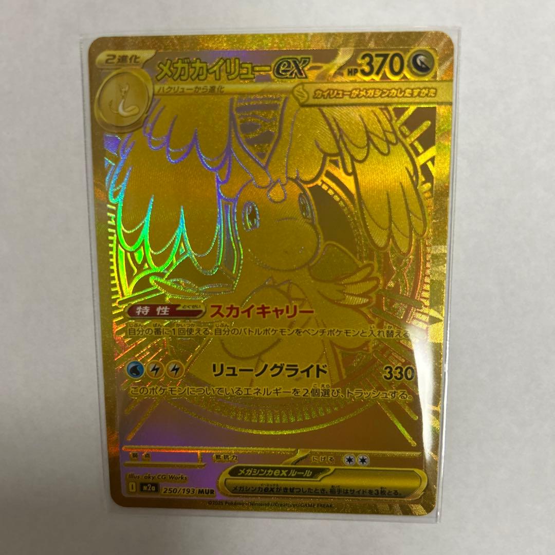 乾*杯様 メガカイリューEX