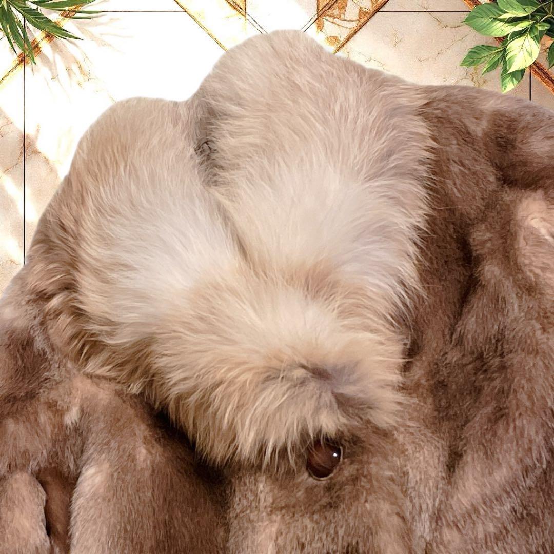 毛皮コート　リアルファー　大襟　フォックス襟　ロング丈　サイズ15 L相当