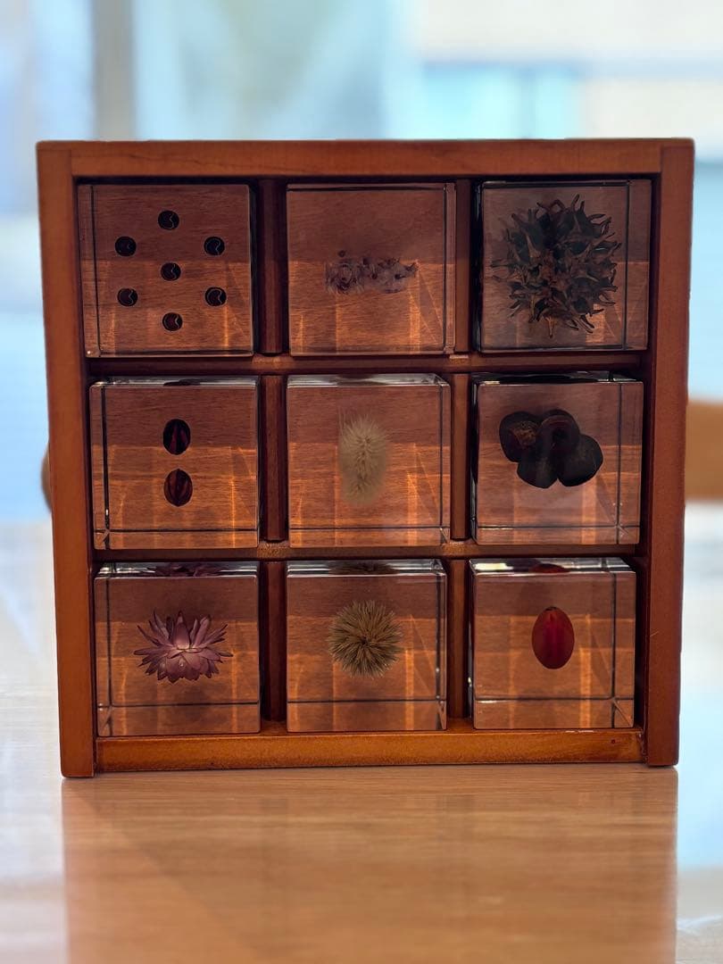 宙ソラsola cube 標本箱木箱セット ウサギノネドコセレクション9個