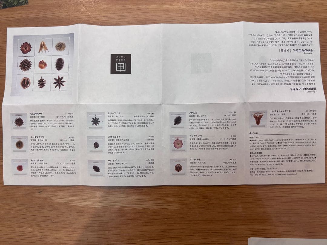 宙ソラsola cube 標本箱木箱セット ウサギノネドコセレクション9個