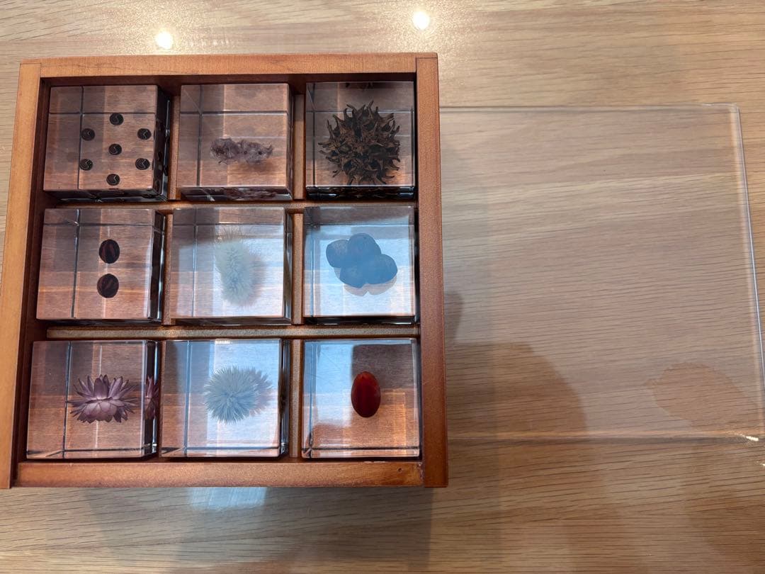 宙ソラsola cube 標本箱木箱セット ウサギノネドコセレクション9個