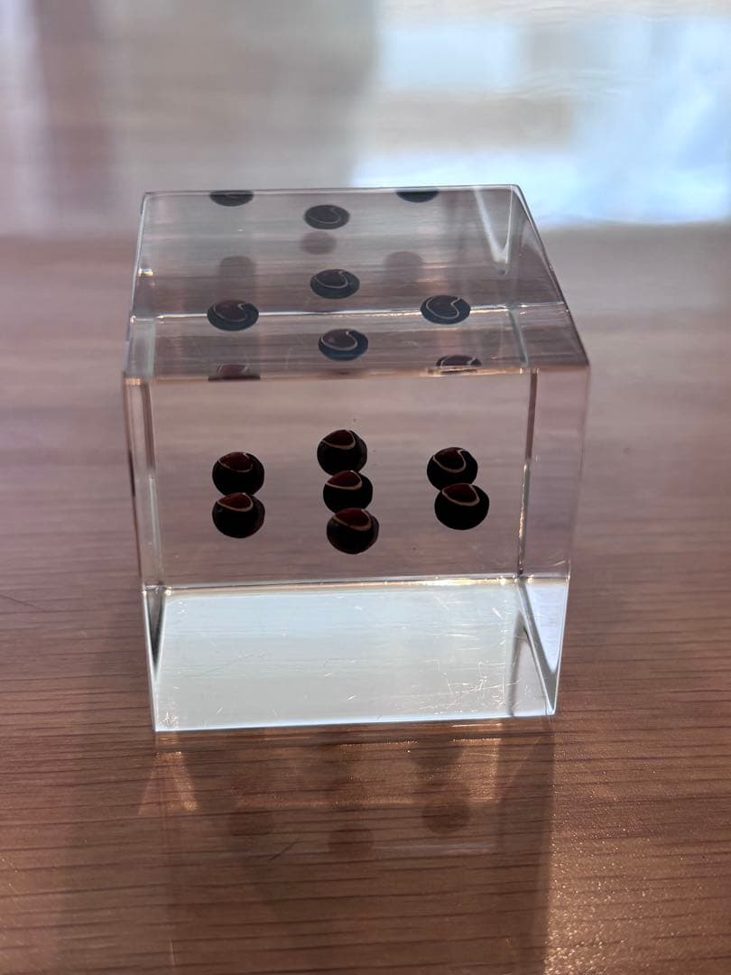 宙ソラsola cube 標本箱木箱セット ウサギノネドコセレクション9個